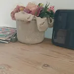 Olivia\'S House